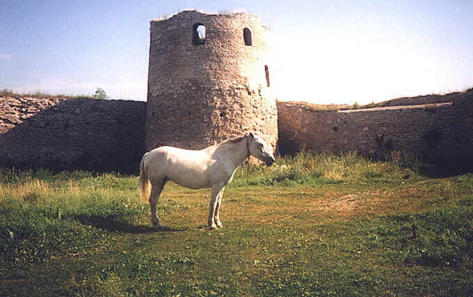 Stary Izborsk. Fortress. Tower 