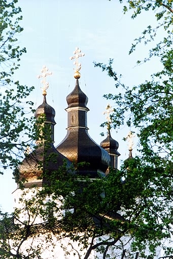 Tyumen district. Tyumen. Trinity Monastery. Trinity church. Fragment. XVIII F.Leschinsky